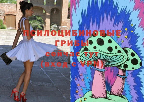 PSILOCYBIN Армянск