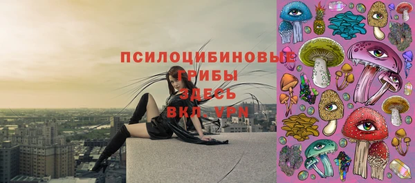 PSILOCYBIN Армянск