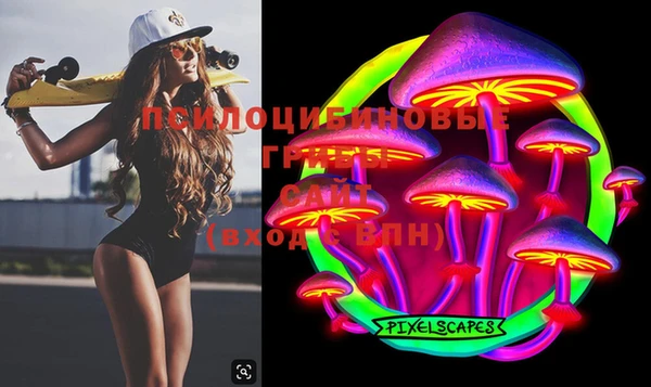 PSILOCYBIN Армянск